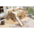Mapleton All-in-One Low Loft Bed With Storage Shelves And Slide-124611211