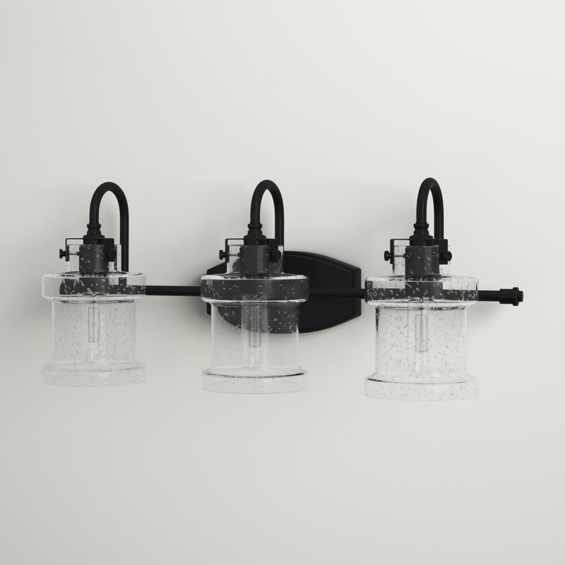 Raleigh 3-Light Dimmable Seeded Glass Vanity Light, Earth Black