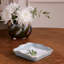 Encanto Soho Beverage Napkin Holder