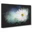 White Daisy Vol.2 Paint Splash - Wrapped Canvas-61880317