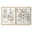 Sépia Besler Botanicals III - reproduction encadrée de qualité supérieure - prête à être accrochée - aucun clou requis - aucun clou requis-1833664543-1833664536