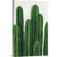 Pura Vida III - reproduction d'art sur toile-874116849-874116857