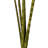 38'' Palm Branch