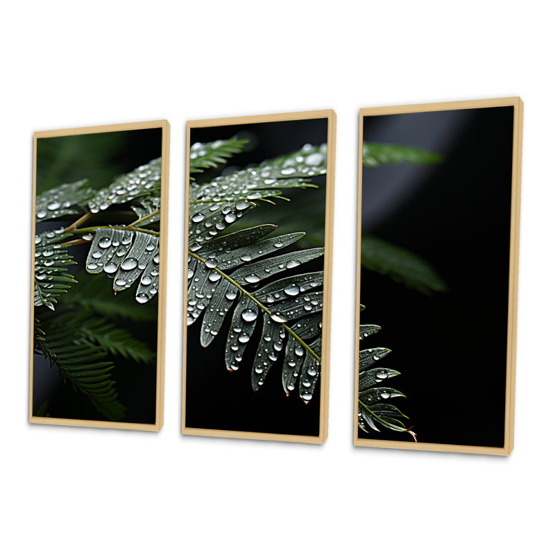 Ferns Charm In Winter - Ferns, ensemble d'art sur toile, Cadre naturel flottant, H 40 po x l 60 po x P 1 po