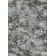 Attell Floral Indoor Rug