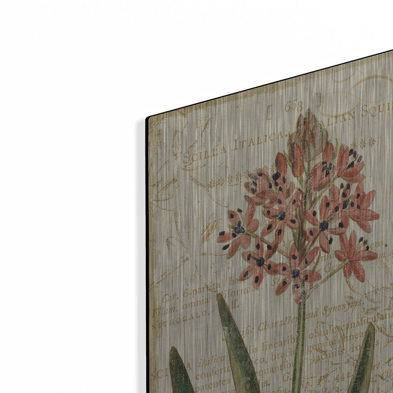 "Études florales IV" par NBL Studio, H 16 po x l 12 po