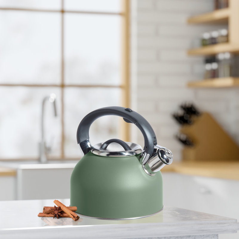 Bouilloire à sifflet en acier inoxydable (1,9 l, 64 oz)