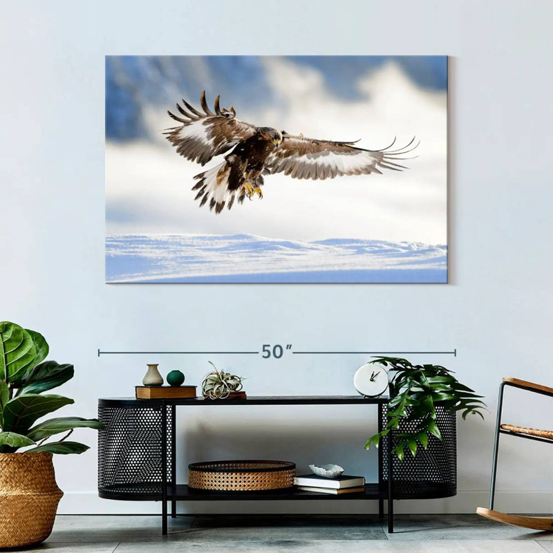 Brampt Norwegian Golden Eagle, 32" H x 48" W