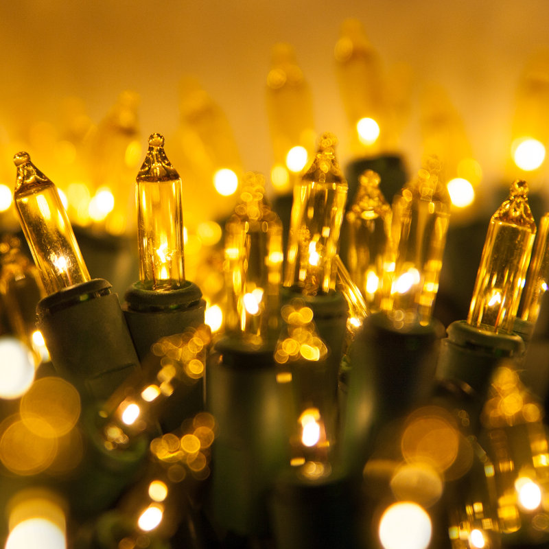 204'' String Lights, Gold