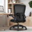 Hailes Ergonomic Office Swivel Chair