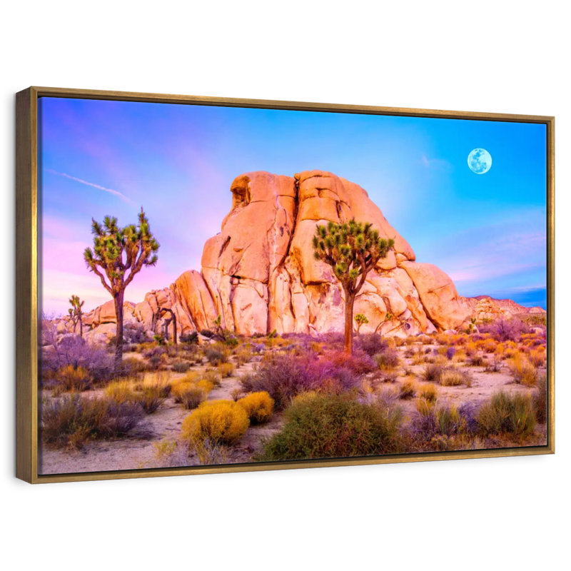 Joshua Tree National Park, Cadre flottant doré, 37 po x 25 po