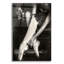 «Art Of Dance» par PhotoINC Studio-1306829335