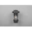 Evelore Outdoor Armed Sconce