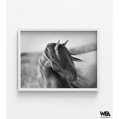 Fierce Grace By Tony Stromberg, Black And White Equestrian Guest Bedroom Inspo, Rustic Western Horse Photography Poster Print