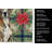 Brindle Great Dane Christmas PoinsettIas Kitchen Towel-2080584025