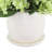 Lilacs Arranged in a Ceramic Pot