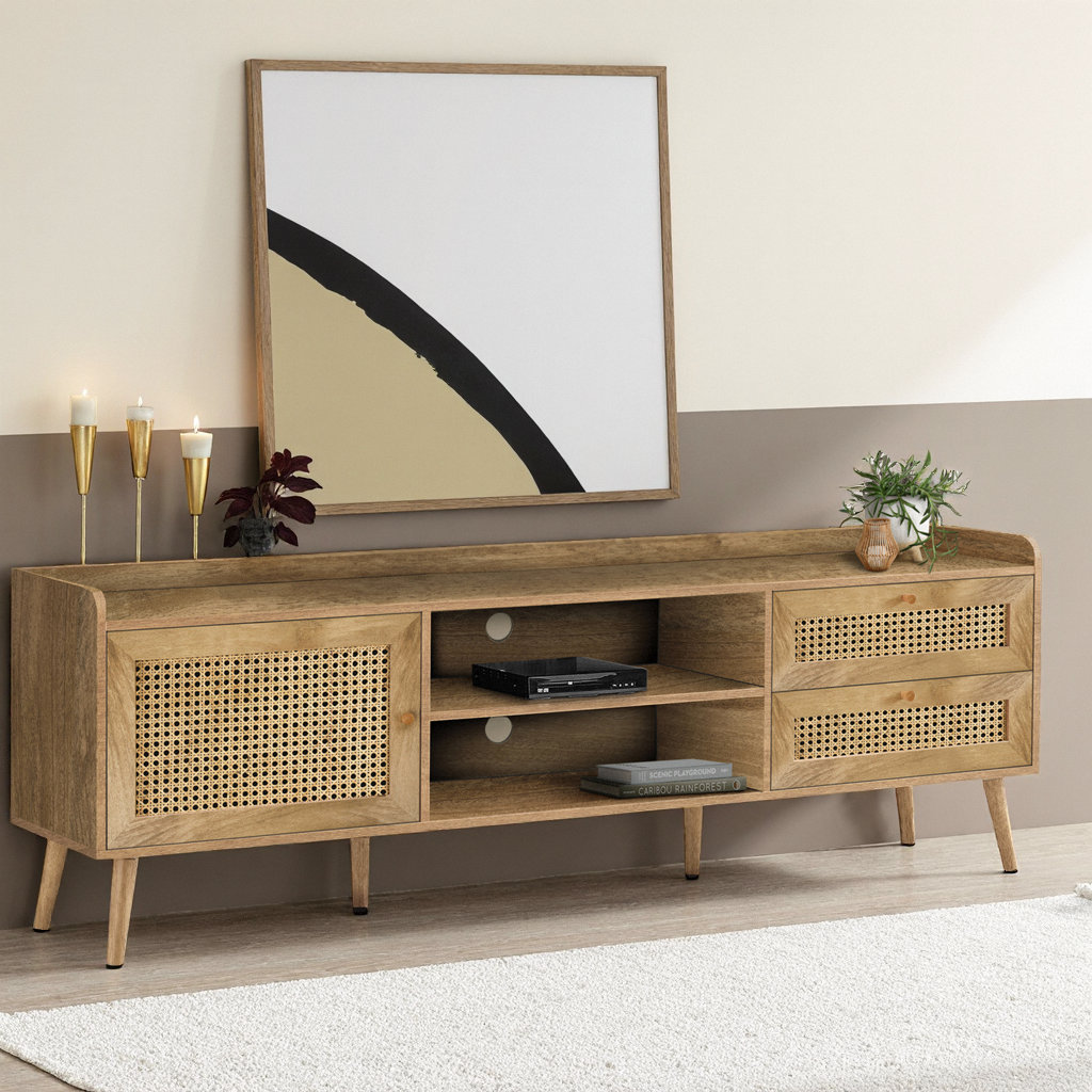 Latitude Run® 72 Inch Transitional TV Stand with Storage Cabinet and ...