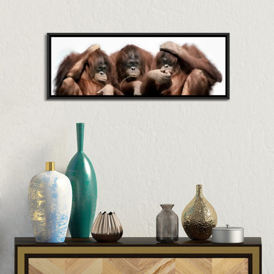 " Close-up Of Three Orangutans " by Panoramic Images