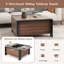 Baraka Coffee Table with Storage