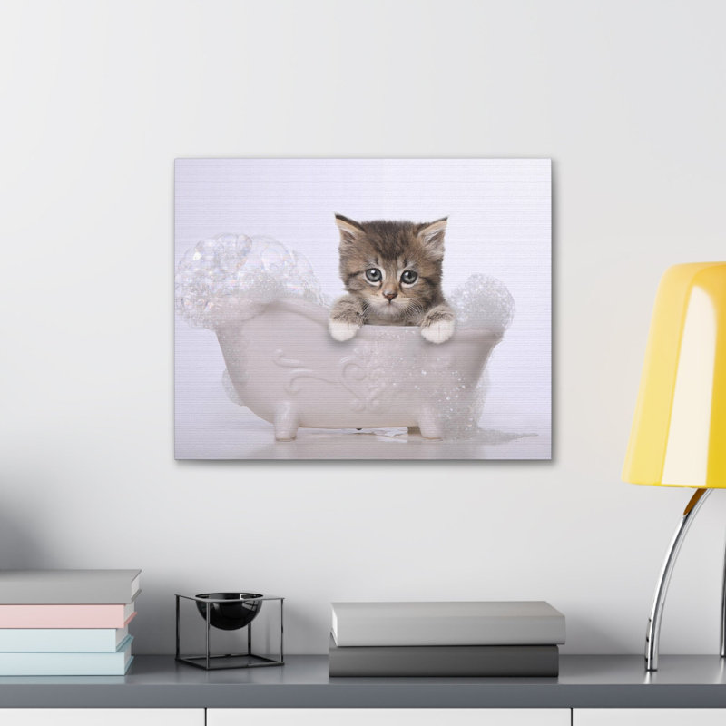 Cute Main Coon Kitten Bathee Canvas Wall Art, 12" H x 18" W