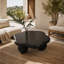Table basse 35 "en forme de nuage noir, table basse minimaliste moderne en forme de pétale avec pieds sphériques, noir mat et table de salon à petit espace pour petits appartements, noir mat