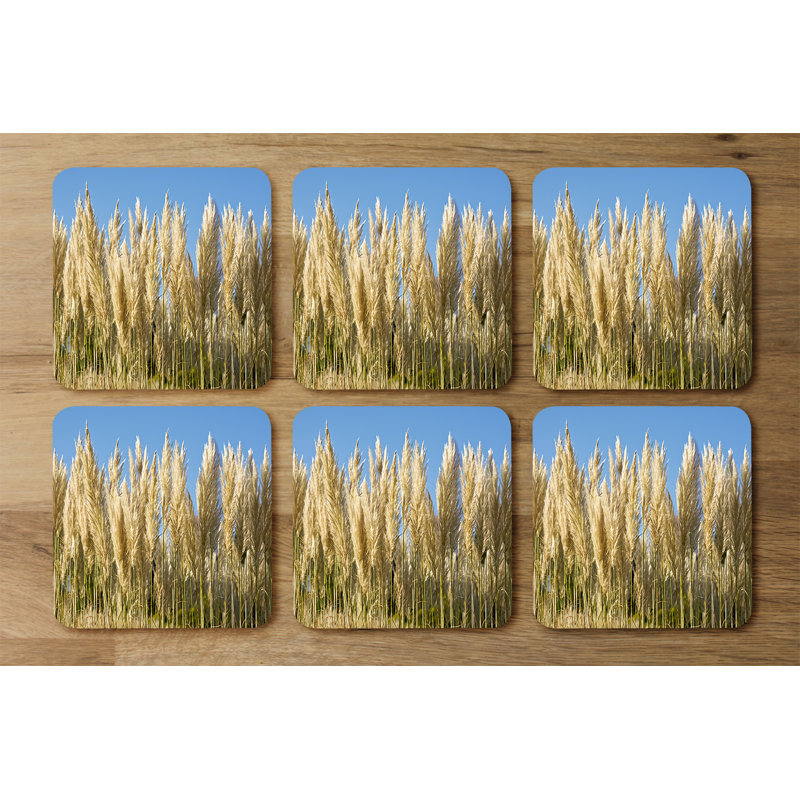 Drager Square 6 Piece Coaster Set