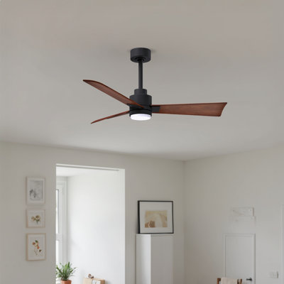Ventilateur de plafond Alessandra