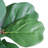 Faux Fiddle Leaf Fig Tree in Pot - 6.3 ft Artificial Indoor Floor Plant with Realistic Green Leaves for Living Room Office