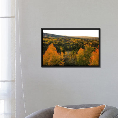 « automne lever » par bill sherrell, reproduction d’impression sur toile tendue