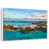 Floating Frame White