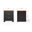 Loretta 45cm W Particle Board / Chipboard Bedside Table-121417466