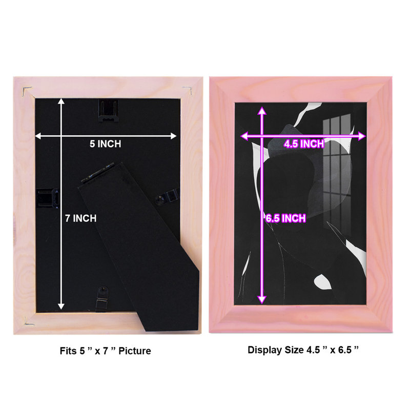 Night Bloom I - reproduction de cadre photo simple, H 6 po x l 4 po x P 1 po, Rose