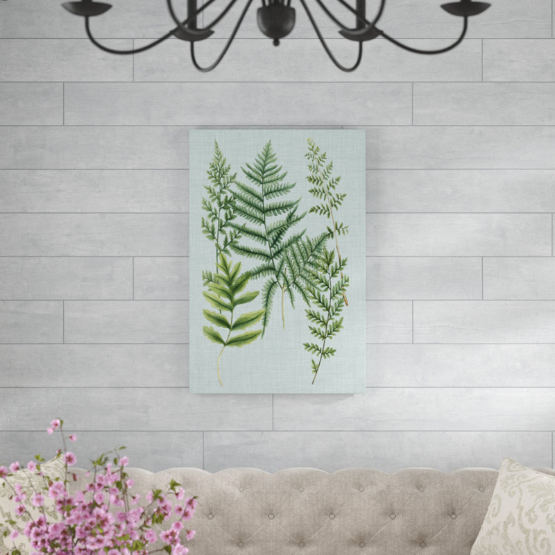 'Spa Ferns I' by Weinmann - Wrapped Canvas Graphic Art Print, 91cm H x 61cm W, Wrapped Canvas
