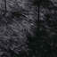 Shaggy Rug High Pile NAVARRA Black Polyester-980338813