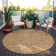  Machine Washable Indoor/Outdoor Chayden ACN1030 Rug