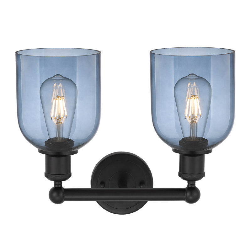 Edison Allysson 2 Light 15" Bath Vanity Light, Matte Black, Princess Blue