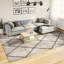 Lizette 60cm X 110cm Area Rug-2036090499