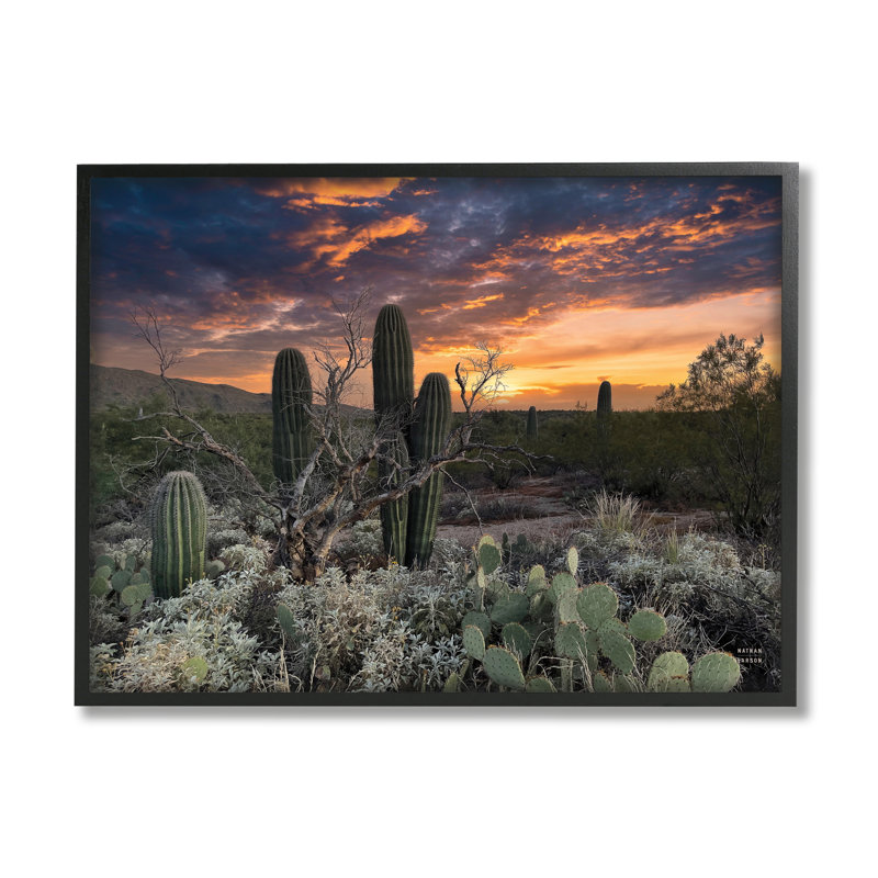 Cactus aride du désert au coucher du soleil par Nathan Larson - photographie sur bois, H 16 po x l 20 po x P 1,5 po
