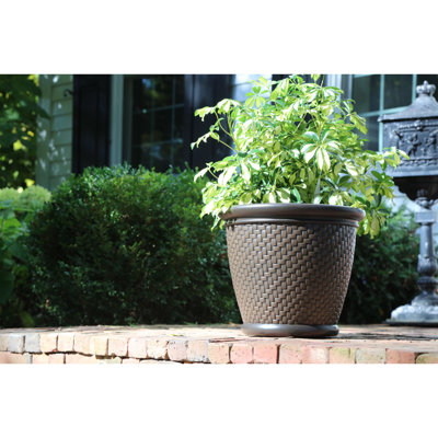 Pot à fleurs en plastique