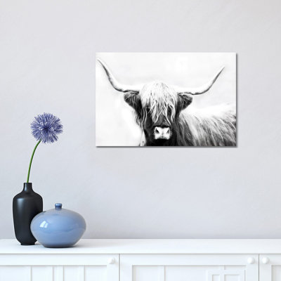 Highland Longhorn by Danita Delimont - Print on Canvas