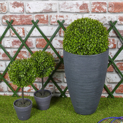 Plant Pot