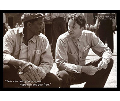 Back To School College Framed Posters!! " The Shawshank Redemption Movie Art Print Poster Tim Robbins Morgan Freeman "