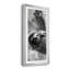 Sloth Swing - Photographie avec cadre photo-2126416622-2126416623