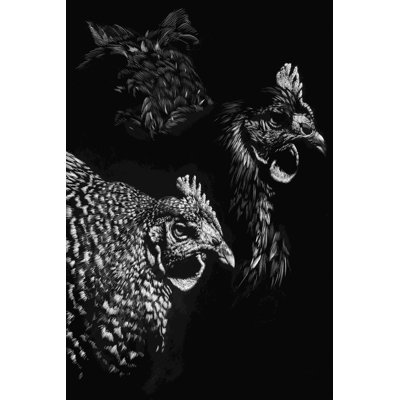 Scratchboard Skeptics 2855299