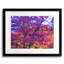 My Fall Fuchsia Print by Drew Gaffney-623022579