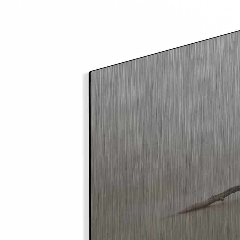 «Still» par Nicholas Bell, photographie, H 12 po x l 16 po
