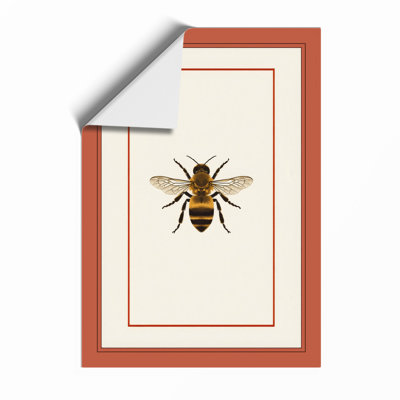 Honey Bee Study Botanical - Framed Print