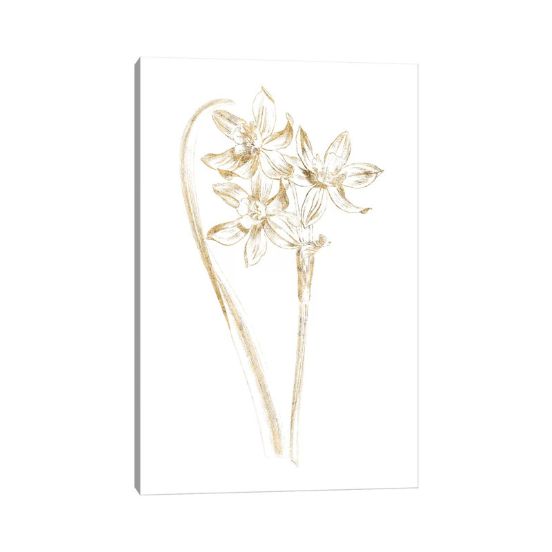 Gilded Botanical IV by Wild Apple Portfolio - Wrapped Canvas Painting, 20.32 cm H x 30.48 cm W