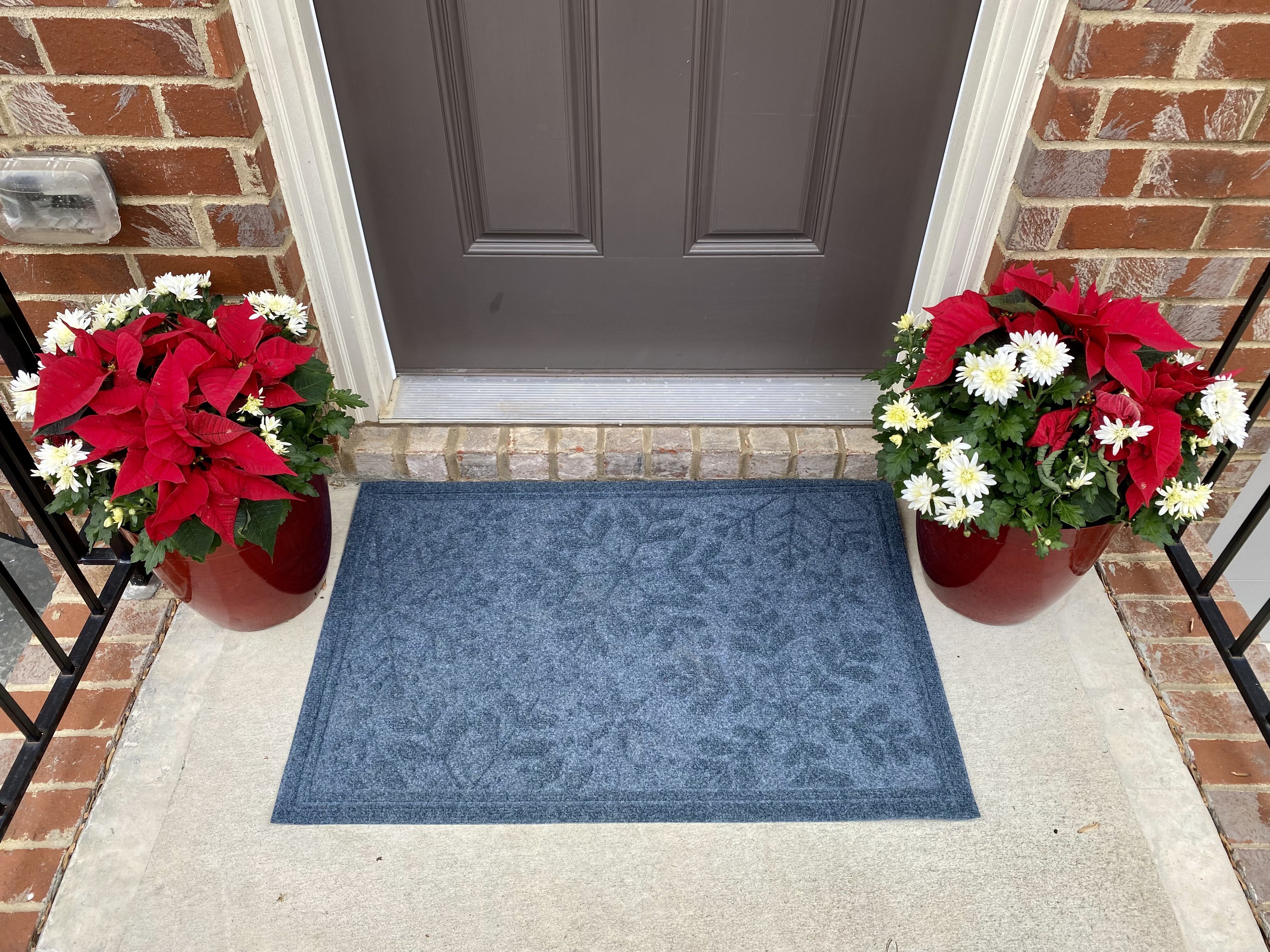 https://assets.wfcdn.com/im/16981204/compr-r85/1766/176611376/ledya-non-slip-outdoor-doormat.jpg