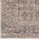Louis Oriental Indoor Rug